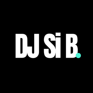 profile_DJ_Si_B