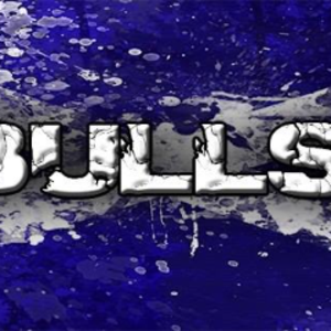 profile_bullseye3110