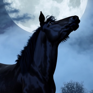 profile_fritztheblackhorse