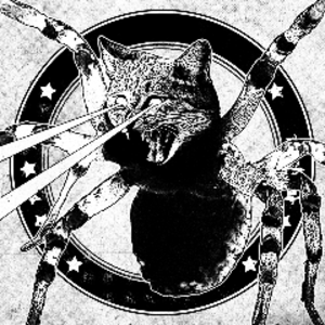 profile_catacomb_kittens