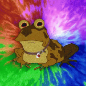 profile_DeJaViewVizuals