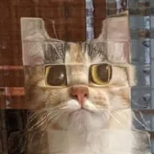 profile_JimboAAkimbo