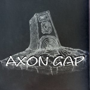 profile_axon_gap