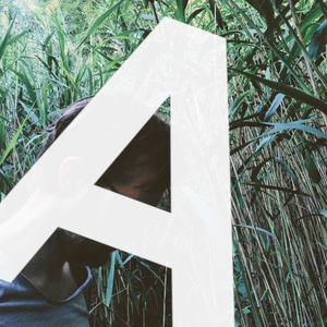 profile_anselm_bauer