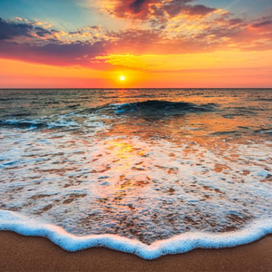 profile_djWadeRansom