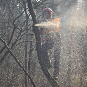 profile_Tree_climber22