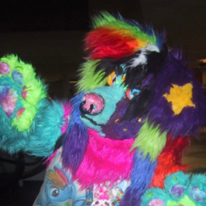 profile_thelastsparkledog