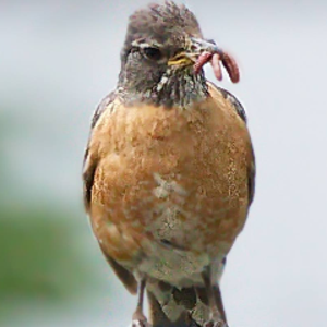 profile_jean__naturelover