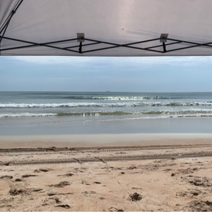 profile_Fried_Phish01