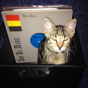 profile_Basstime_Stories