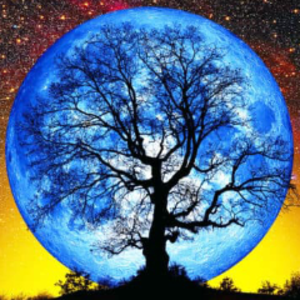 profile_ThomasJoseph315