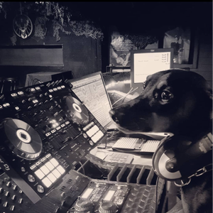 profile_DJ_Leviathan_Nerodom