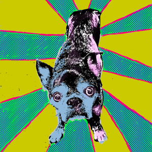 profile_dropshadow_gallery