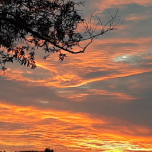 profile_peggy_sue123