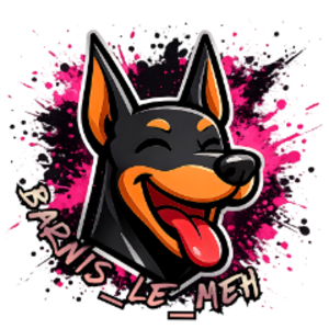 profile_barnis_le_meh