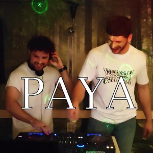 profile_paya_dnb