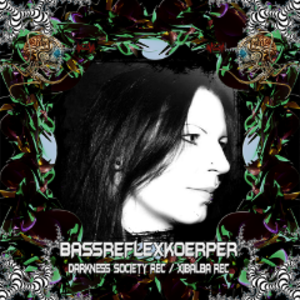 profile_BassreflexKoerper