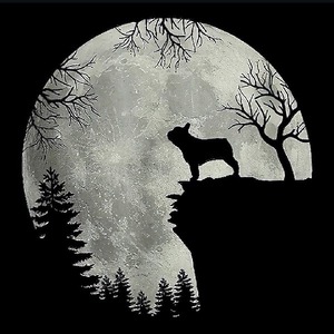 profile_Subculture_Postpunk