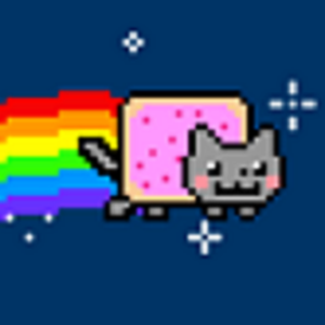 profile_nyan_kittay