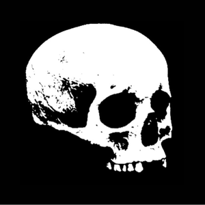 profile_matthart3808