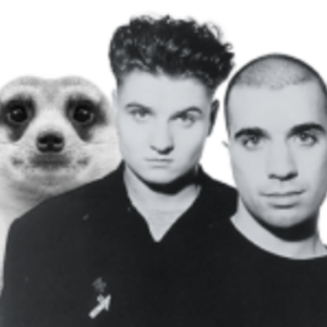 profile_modernmeerkat