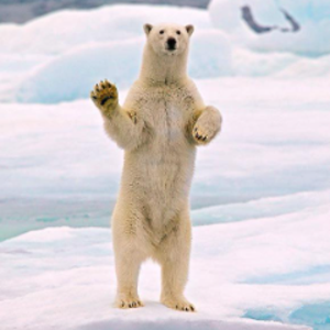 profile_steamin_fren