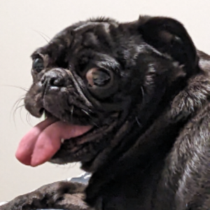 profile_Smithflipout