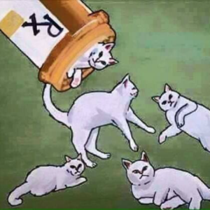 profile_charlieinfinite