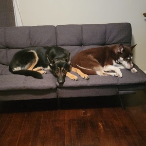 profile_CashSmashMeow