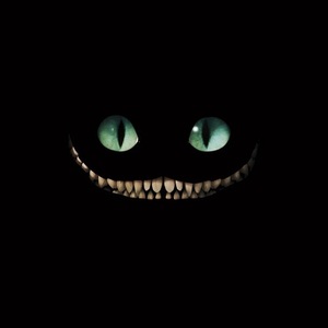 profile_tom_swrz