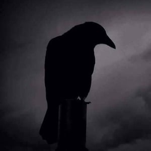 profile_Darkness_Before_Dawn_