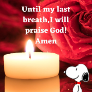 profile_melodictechnoguy