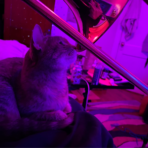 profile_edith_snugglenut