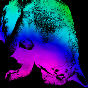 profile_BubblegumNihilists