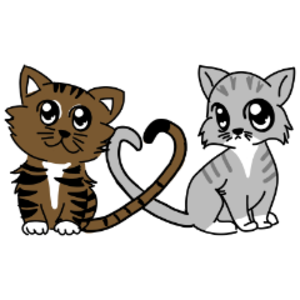 profile_TheSurfShack