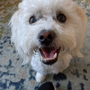 profile_DrinkMoreCookLess