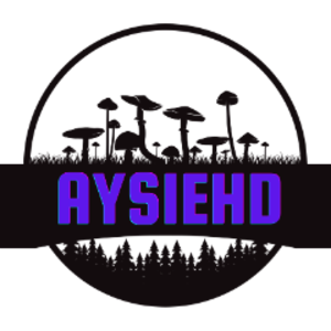 profile_aysiehd