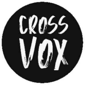 profile_Cross_Vox