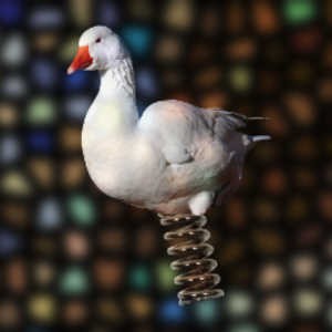 profile_springgoosemark