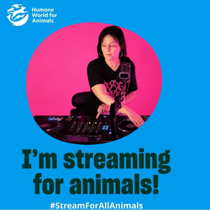 profile_DogloverNYCmusic