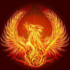 profile_IgniteThePhoenix