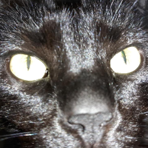 profile_djwslaughter