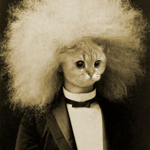 profile_Dr_Squeakers