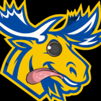 profile_thesweedrunner