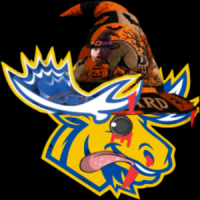 profile_thesweedrunner