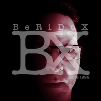profile_BeRiDoX_ACiDvinyl