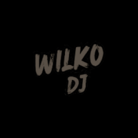 profile_wilko_dj