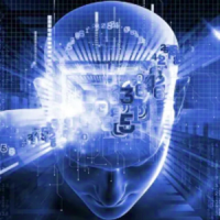 profile_Mind_Prime
