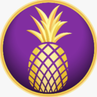 profile_PineappleHoops