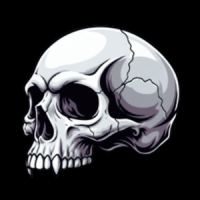 profile_inishowen123